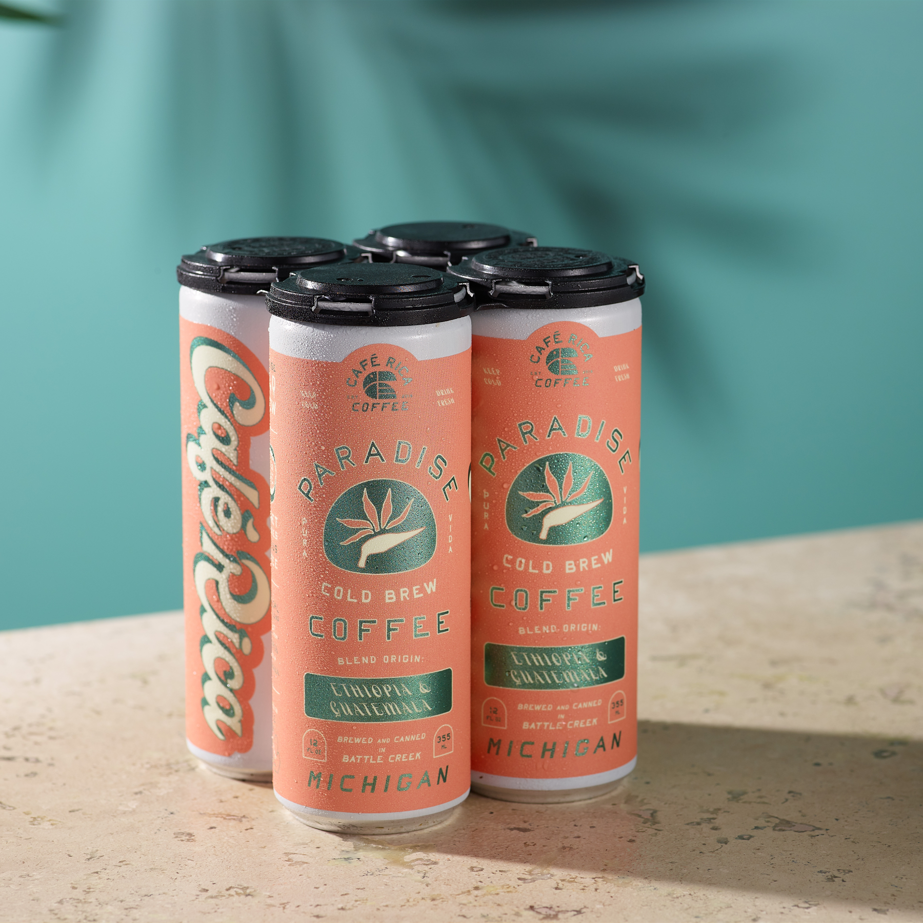 Paradise Cold Brew Cans - 12oz - 4pk